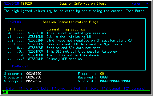 Supplemental Field Display